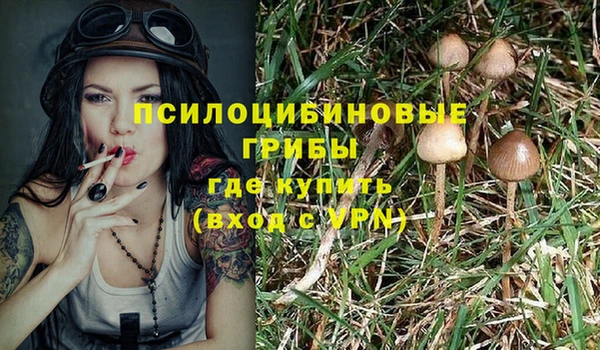 скорость Абинск