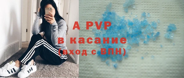твердый Алзамай