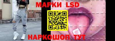 стаф Можга