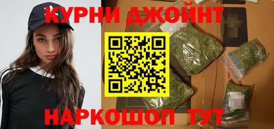 стаф Можга