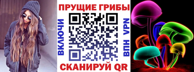 Псилоцибиновые грибы мицелий  где продают   Ирбит 