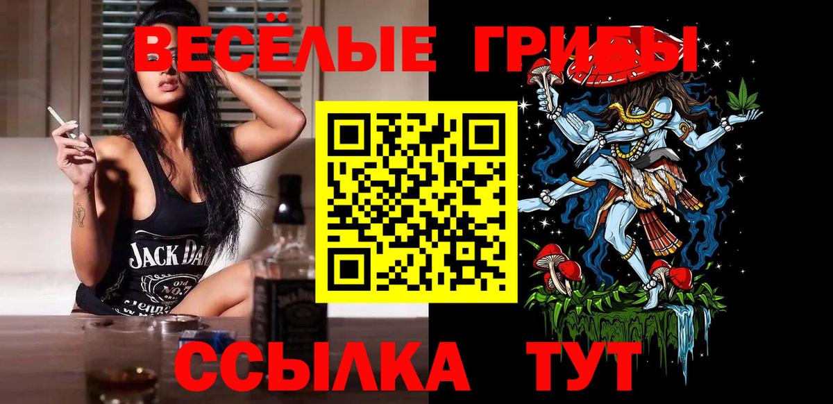 Галлюциногенные грибы Psilocybe Ирбит