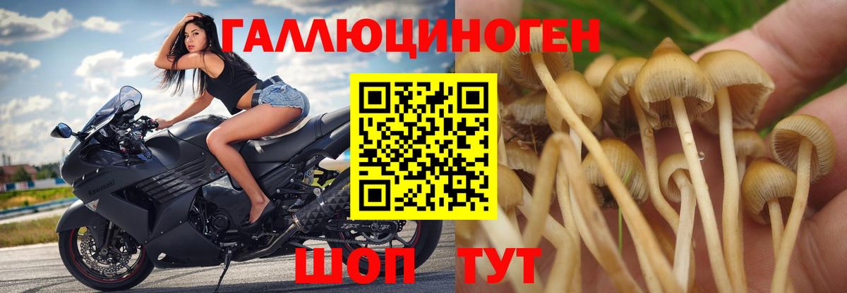 Псилоцибиновые грибы Magic Shrooms  Вход с VPN  закладки  Ирбит 